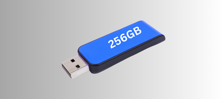 256 GB Pendrive